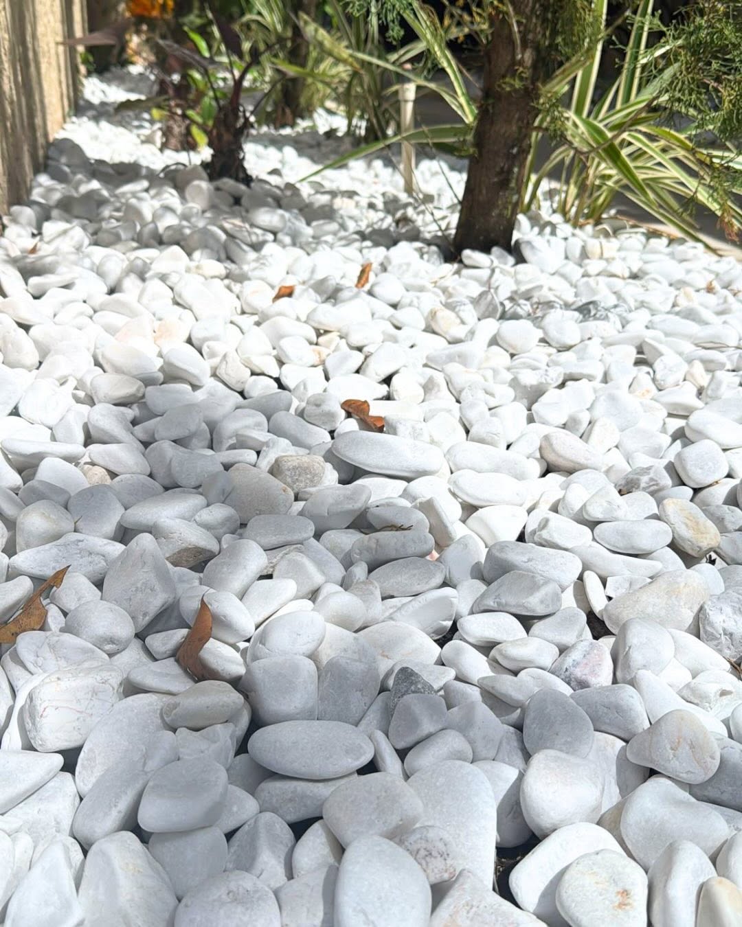 10 lb Premium Decorative Pebbles for Plants & Landscaping, 1–2 Inch Polished River Rocks for Indoor & Outdoor Use, Planters, Vases, Succulents, Terrariums & Garden Decor